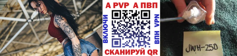 Альфа ПВП СК КРИС  Сланцы 