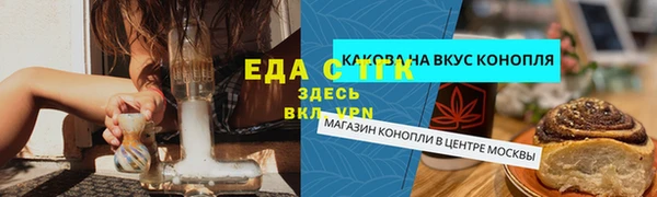 гидра Богородицк
