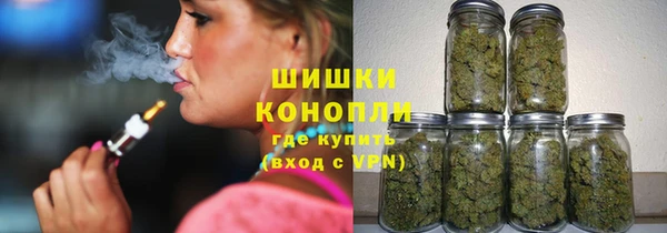 mdpv Богородск
