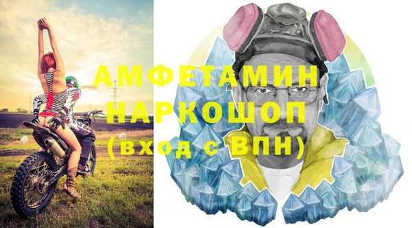 гидра Богородицк