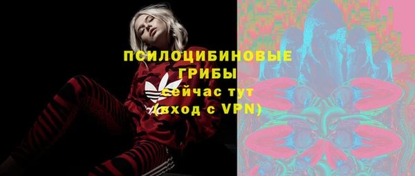 первитин Белокуриха