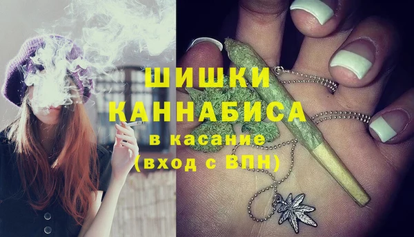 крисы Богданович