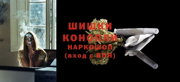 молекула духа Пестово
