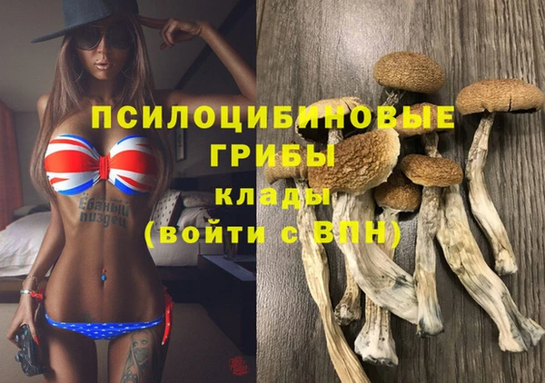 первитин Белокуриха