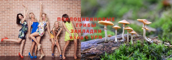 mdpv Богородск
