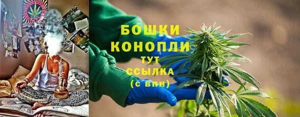 гидра Богородицк