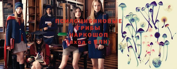 гидра Богородицк