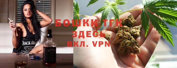 mdpv Богородск