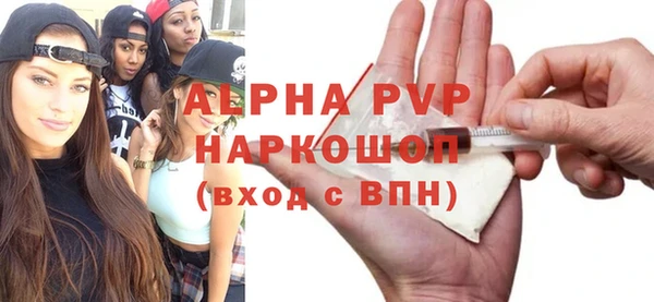 гидра Богородицк